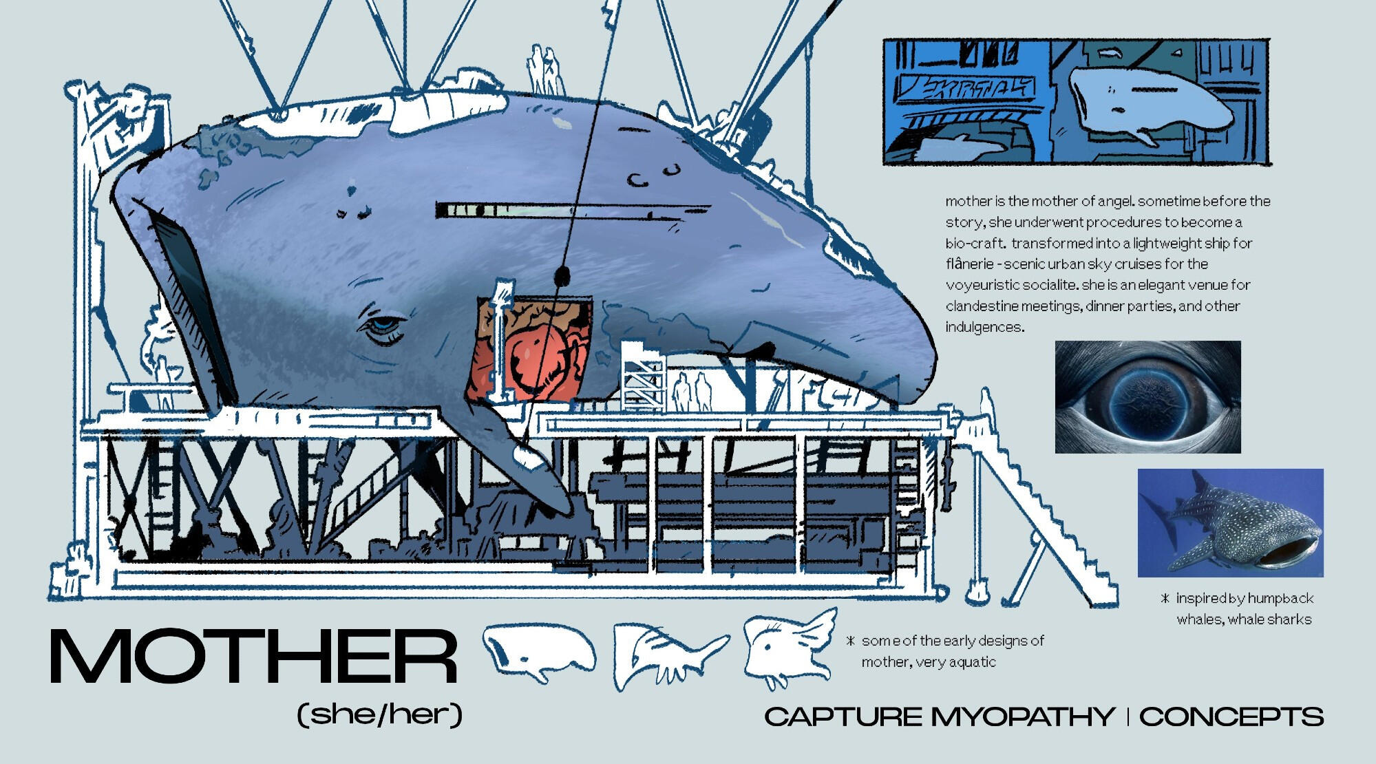 motheer motheer
